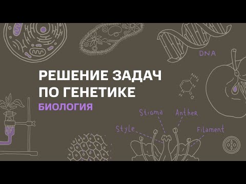 Видео: Тема: Решение задач по генетике