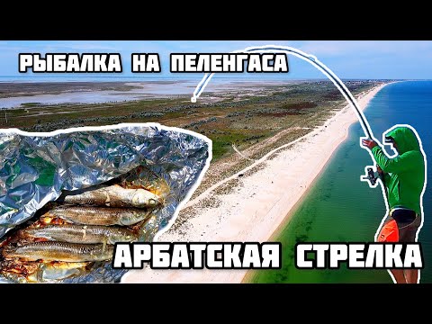 Видео: #1 РЫБАЛКА на ПЕЛЕНГАСА / АРБАТСКАЯ СТРЕЛКА