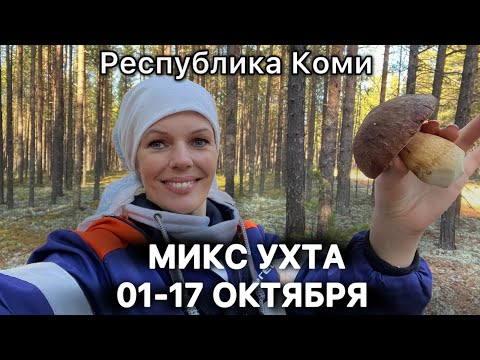 Видео: #Ухта …МИКС 01-17 Октября…Республика Коми 2025