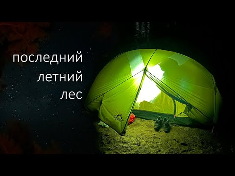 Видео: Что беру с собой в поход (новое походное), разнообразные грибы в лесу и приручение диких уток.