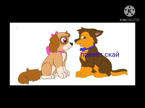 Видео: комикс смерть гонщика