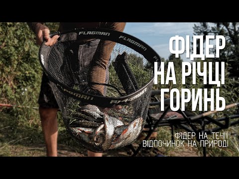 Видео: Фідер в серпні  Рибалка на ГОРИНІ 2024