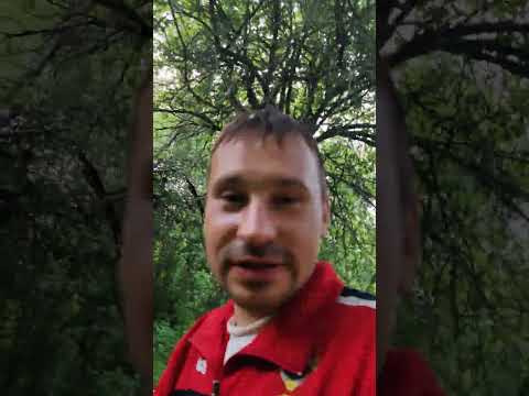 Видео: Сезон 2025 часть 2