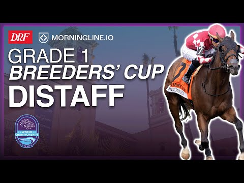 Видео: Прялка для Кубка заводчиков 1-го класса | 1 ноября 2025 г.