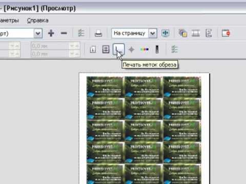 Видео: Верстка визиток в Corel Draw.