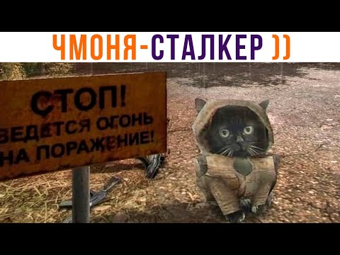 Видео: ✅ ЧМОНЯ ))) Игровые мемы | Мемозг 979