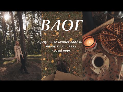 Видео: ВЛОГ: Я календарь переверну и снова осень на дворе