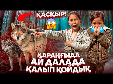 Видео: ҚАРАҢҒЫДА АЙДАЛАДА ҚАЛДЫҚ.ҚАСҚЫРҒА ЖЕМ БОЛА ЖАЗДАДЫҚ😱😩🎥МИНИ ФИЛЬМ#challenge #rek