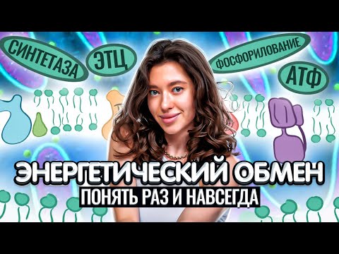 Видео: Полная информация об Энергетическом обмене к ОГЭ и ЕГЭ по Биологии. Понятное объяснение