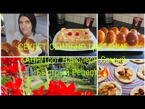 Видео: Vlog 🇩🇪 СЕКРЕТ ПЫШНХ ВОДУШНЫХ Пирожков со Сливками 🫐Добавьте Уксус 9%ТЕСТО БУДЕТ КАК ОБЛОЧЬКА 🔥