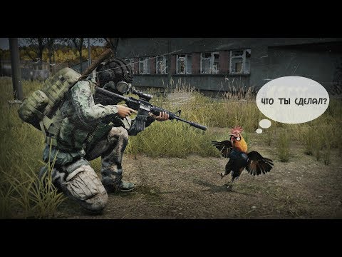 Видео: Что ты сделал? - DayZ