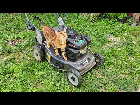 Видео: Газонокосилка бензиновая Caiman Ferro 55CLV