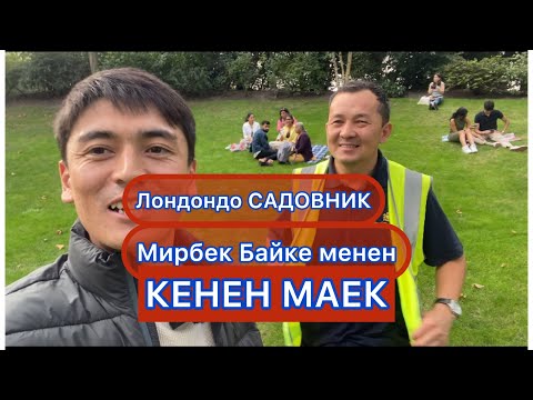 Видео: Лондондо САДОВНИК!!Мирбек Байке менен КЕНЕН МАЕК!!!