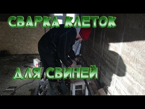 Видео: Начало сварки клеток для свиней