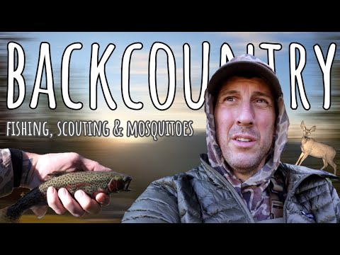 Видео: Четырехдневная одиночная рыбалка на форель вдали от цивилизации и наблюдение за оленем-мулом!