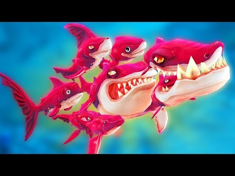 Видео: НОВАЯ АКУЛА СТАЯ, ОБНОВЛЕНИЕ | Hungry Shark World