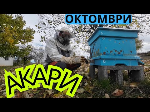 Видео: ОКСАЛОВА КИСЕЛИНА СРЕЩУ АКАРИТЕ