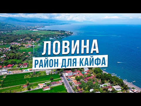 Видео: Районы Бали. Четкий обзор Ловины.