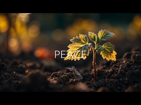 Видео: Расслабляющая акустическая гитара для глубокого сна и снятия стресса - Нежные звуки природы