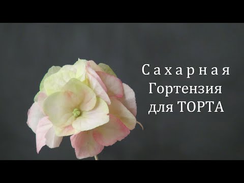 Видео: Гортензия из Шёлковой Гибкой мастики