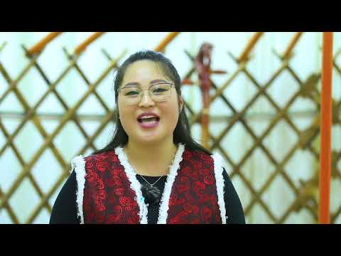 Видео: Шагайн хэмнэл