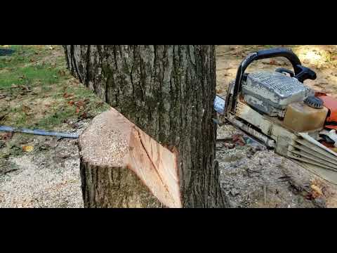 Видео: Sizwheel для бокового наклона