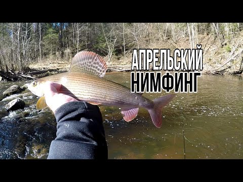 Видео: Нахлыст.Ловля на нимфу  и стримера.Открываем сезон по форели и хариусу.