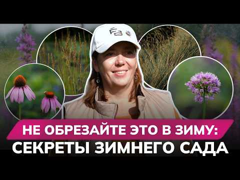 Видео: Злаки и сухоцветы: создаём красивый сад на осень и зиму