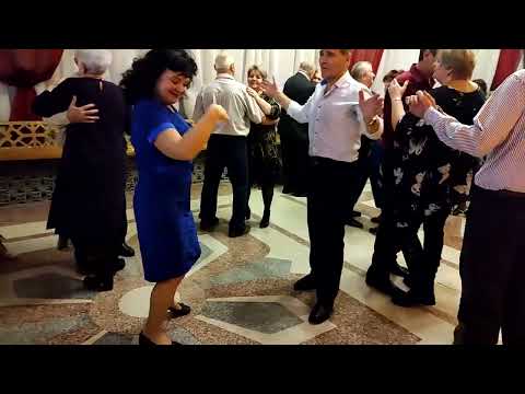 Видео: Чайки..... 17.12.22.