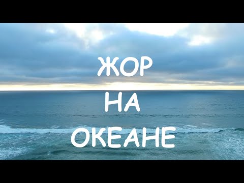 Видео: ЖОР НА ОКЕАНЕ 20-30-40+ РЫБ! Я ТАК НИКОГДА НЕ ЛОВИЛ! СКАТЫ И АКУЛЫ КЛЮЮТ БЕЗ ОСТАНОВКИ КАЖДУЮ МИНУТУ