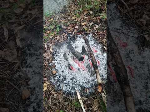 Видео: 29 октября 2025 г.