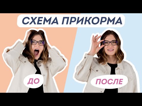 Видео: НИКТО НЕ ЗНАЕТ КАК ВВОДИТЬ ПРИКОРМ ПРАВИЛЬНО. Ответы в этом видео.