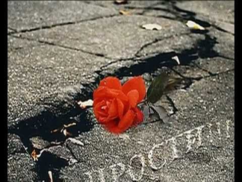 Видео: В память о муже