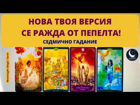 Видео: 🐦‍🔥НОВА ТВОЯ ВЕРСИЯ СЕ РАЖДА ОТ ПЕПЕЛТА!🌟Седмично Гадание (27.10-2.11.35)🌟 | Timeless ✨