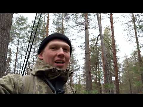 Видео: Поход к озеру в лесу