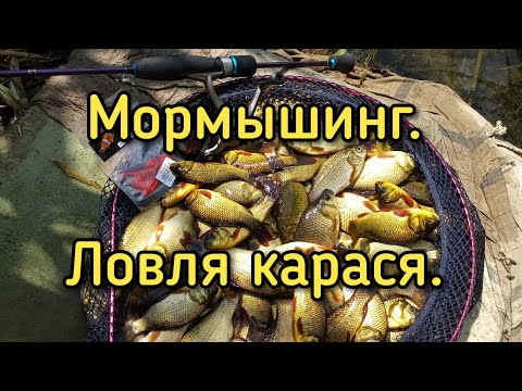 Видео: Мормышинг. Ловля карася на мормышку.