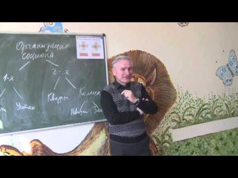 Видео: Позитивизм-негативизм