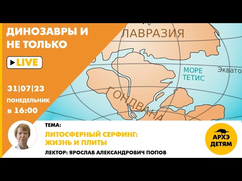 Видео: Занятие "Литосферный серфинг: жизнь и плиты" кружка "Динозавры и не только" с Ярославом Поповым