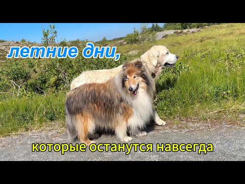 Видео: тихая жизнь на острове/быть здесь и сейчас