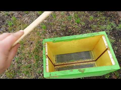 Видео: Шести рамочник что нужно делать для того, чтобы пчелы не грызли Эппс