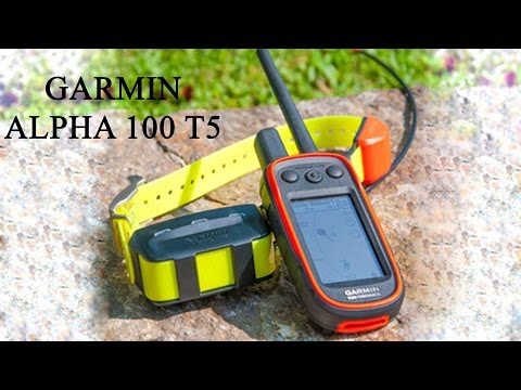 Видео: Garmin Alpha 100 T5 обзор прибора
