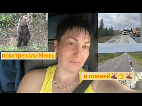 Видео: Из Салехарда до Нового Уренгоя в Тюмень и Куртамыш.