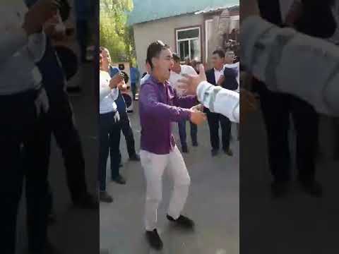 Видео: Мырза-Арык 93 маргариталар