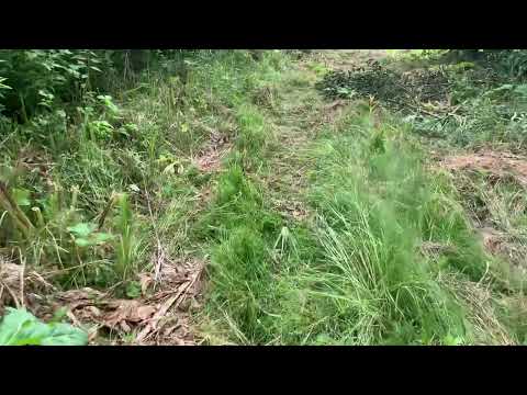 Видео: Сенокос продолжается