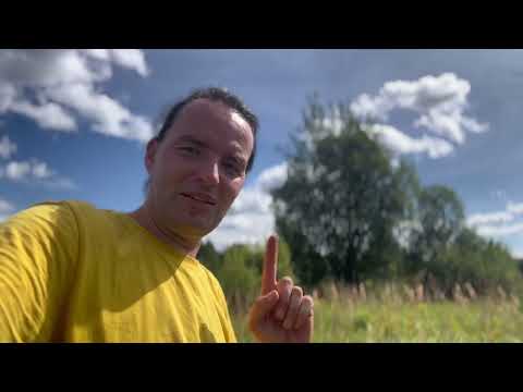 Видео: Я доверяю картину природе. Результат — магия!