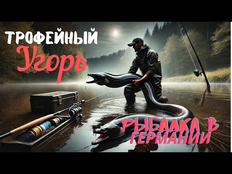 Видео: Трофейный угорь на Рейне! Невероятный улов в Германии