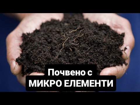 Видео: Почвено подхранване в зеленчуково стопанство Стефаново
