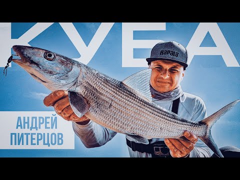 Видео: БЛЁСНЫ УДЕЛАЛИ МИКРОДЖИГ! Шикарный клёв на пляже! Какую рыбу может поймать турист с берега? Часть 2