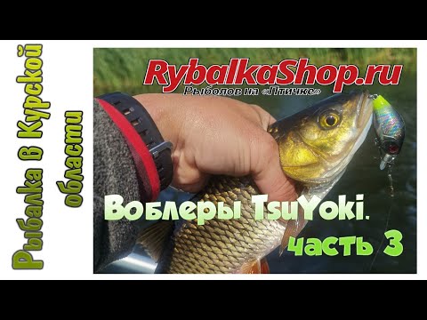 Видео: Обзор посылки с кренками ТцуЙоки из Rybalkashop.ru