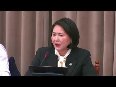 Видео: Б.Пунсалмаа:  Төсвөөсөө хэдий хэмжээг Монгол үйлдвэрлэгчдэд зарцуулах бэ
